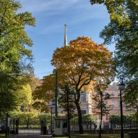 Колдовской цвет осени :: Борис Генкин