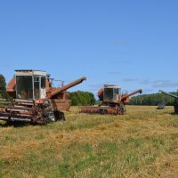 В бой идут одни старики) :: Олег Ховренков В бой идут одни старики) :: Олег Ховренков