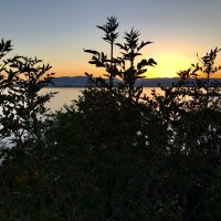 На закате… :: Любовь На закате… :: Любовь