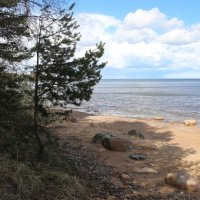 Ладожское Озеро :: Наталья Герасимова