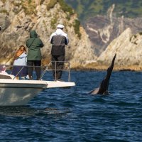 ... :: Жора Житников