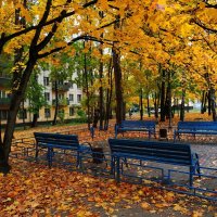 Золотая пора в городе :: Андрей Лукьянов