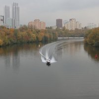 Осенний патруль :: Дмитрий И_