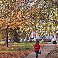 Октябрь...Осень золотая! :: Владимир 