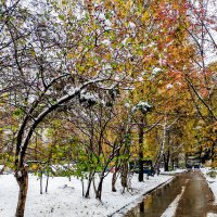 * :: Dmitry i Mary S