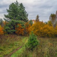 Осень разбросала краски :: Сергей Цветков