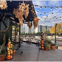 Калининград. Осень. :: Валерия Комова