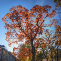 *** :: Сергей Григорьев