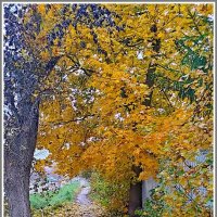 Листопад :: Владимир Попов