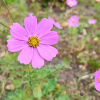 ,,, :: Сергей Тимоновский