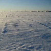 Поле :: Anna Ivanova