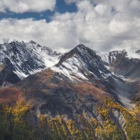 * :: Александр Иванов