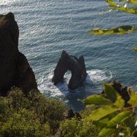 Природа Крыма :: Amazing Cosmea