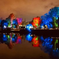 Сказочный лес :: константин 