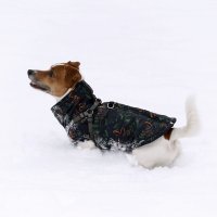 Снега навалило :: Игорь Протасов