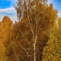 Октябрь :: краснов юрий 