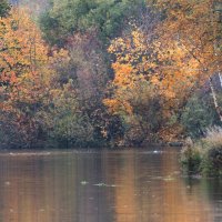 *** :: Владимир Безбородов *** :: Владимир Безбородов