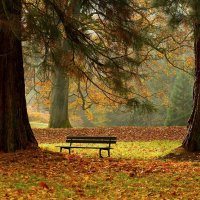 Осенняя скамека :: Юрий. Шмаков