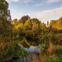 Осеннее утро :: Андрей Дворников Осеннее утро :: Андрей Дворников