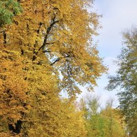 Осенний парк :: Александр Конов