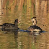 Последние новости... :: Владилен Панченко Последние новости... :: Владилен Панченко