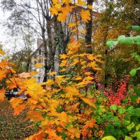 городская живопись :: Сергей Б.