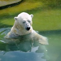 В зоопарке :: Иван Генералов