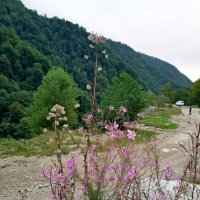 На границе с Абхазией :: Tata Wolf