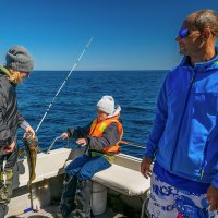 ... :: Жора Житников