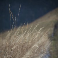 * :: Александр Иванов