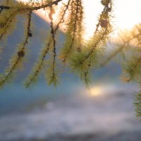 * :: Александр Иванов