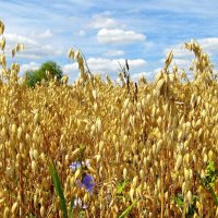 3969 :: Alex . 3969 :: Alex .