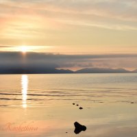Природа Крыма :: Amazing Cosmea