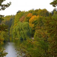 Осень в усадьбе Царицыно :: Константин Анисимов Осень в усадьбе Царицыно :: Константин Анисимов