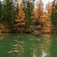 Немного золота и меди. :: Николай 