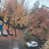 Осеннее утро :: Дмитрий Никитин Осеннее утро :: Дмитрий Никитин