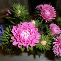 *  *  * :: Алёна Савина