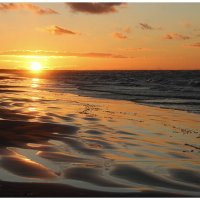 *** :: Aleksandr Gal