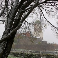 Первый снег в Выборге :: Ольга Первый снег в Выборге :: Ольга