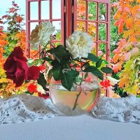 Розы моего сада :: Валентина Богатко 