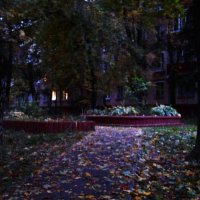 Октябрьское утро. :: Василий Палий Октябрьское утро. :: Василий Палий