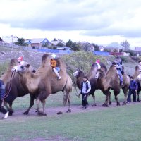 Прогулка. :: Виктор 