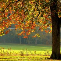 День осени :: Юрий. Шмаков