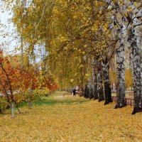 Осень :: Венера Чуйкова Осень :: Венера Чуйкова