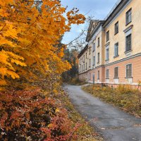Золотая осень у старого дома. :: Сергей Адигамов