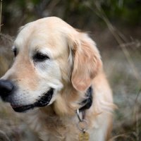 Назар :: Олег Каразанов