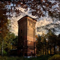 башня,осень,Санкт Петербург :: Laryan1 