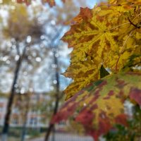 на фоне школы №23 :: Артём 