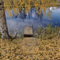 Одинокий плотик . :: Борис Устюжанин