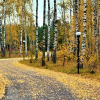 Осенняя дорога :: Александр 